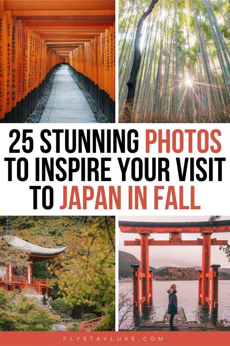 Autumn Leaves Japan, Japan Holidays, Tokyo Japan Travel, Japan Itinerary, Nara Japan, Japan Vacation, Fall Vacations, Japan Travel Tips, Japan Photography