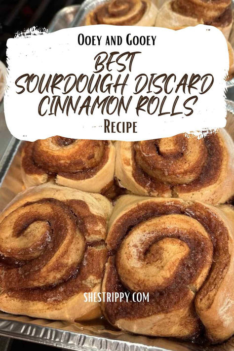 Nothing beats a cinnamon roll and if you have sourdough discard in your fridge, give these a try. Best Sourdough Discard Cinnamon Rolls EVER! Sourdough Cinnamon Rolls Discard Recipes, Sourdough Discard Breakfast Recipe, Cinnamon Roll Sourdough Discard, Soughdough Cinnamon Rolls, Sourdough Discard Cinnamon Rolls Easy, Sourdough Discard Cinnamon Rolls Overnight, Same Day Discard Recipes, Sourdough Starter Discard Cinnamon Rolls, Sourdough Discard Recipes Freezable