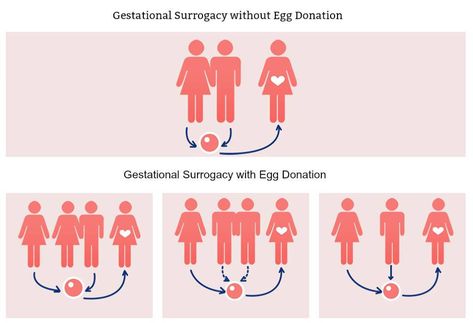 https://flic.kr/p/23LjnaR | Inclusive Surrogacy | Gestational or Traditional Surrogacy?  There are two types of Surrogacy At Inclusive Surrogacy we work only with Gestational Surrogates.  Gestational Surrogacy.- the child is not biologically related to the surrogate mother.  Traditional Surrogacy.- the baby is biologically related to the surrogate mother Gestational Surrogacy, Gestational Carrier, Surrogate Mother, Egg Donation, Fur Hats, In Vitro Fertilization, Stud Muffin, In Vitro, Reproductive Rights