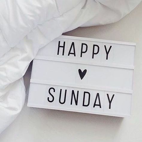 Sunday morning vibes! ☕😉 Blessed Sunday Morning, Blessed Sunday Quotes, Sunday Morning Quotes, Sunday Quotes Funny, Sunday Pictures, Have A Blessed Sunday, Sunday Wishes, Enjoy Your Sunday, Have A Great Sunday