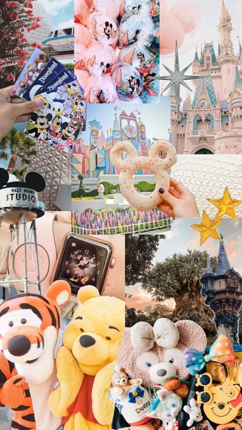 Disney World Aesthetic, Aesthetic Shuffles, Disneyland Photos, Disney Photo Ideas, Disney World Pictures, Disney Background, Disney Trip Planning, Cute Disney Pictures, Disney Collage