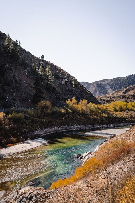 fall colors in the Boise National Forest, ArboursAbroad Boise National Forest, Boise Idaho Aesthetic, Idaho Aesthetic, Moving To Idaho, Forest Camping, Idaho Travel, Forest Camp, Wild Camp, Forest Aesthetic