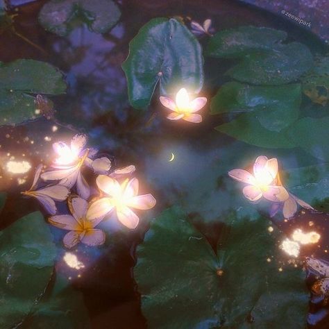 Le Vent Se Leve, Ethereal Aesthetic, Fairy Aesthetic, Magic Aesthetic, Ethereal Art, Alam Semula Jadi, Nature Aesthetic, Water Lilies, Pretty Flowers