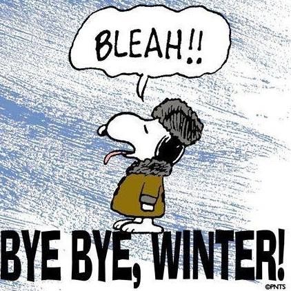 Snoopy- Bleah!! Bye-bye, winter! Winter Snoopy, Goodbye Winter, Hate Winter, Peanuts Cartoon, Winter Quotes, Peanuts Characters, Snoopy Quotes, Snoopy Pictures, Snoop Dog