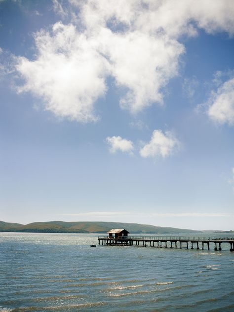 Tomales Bay, Nomad Life, Travel Places, Bay Bridge, Summer 2019, Day Trips, Places To Travel, San Francisco, California