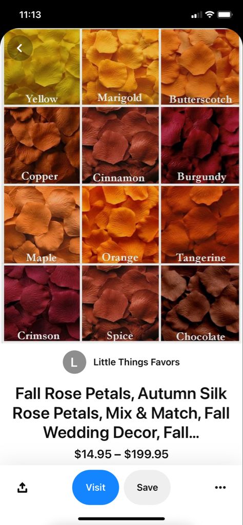 Cinnamon And Gold Wedding, Wedding Theme Color Schemes, Extravagant Wedding Dresses, Wedding Orange, Silk Rose Petals, Spiced Chocolate, Extravagant Wedding, Burnt Orange Dress, Brown Wedding