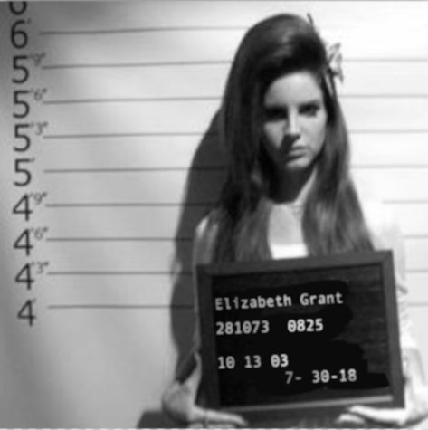 Mug Shot Lana Del Rey #LanaDelReyMugshot #Mugshot #LanaDelRey #ElizabethWoolridgeGrant #LizzyGrant Lana Rey, Elizabeth Grant, Lana Del Ray, Body Electric, Living Legends, Blogger Girl, Just Girly Things, Beauty Queens, Mug Shots