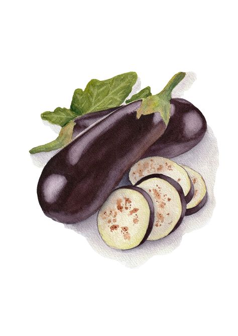 Creative and realistic watercolor illustration of eggplants (or aubergines). Food illustration, watercolor food, food painting, art, design, editorial, branding, packaging, menu, illustrator, vegetables illustration, watercolor paining. madebymarte.com Aubergine Illustration, Eggplant Drawing, Eggplant Illustration, Vegetables Illustration, Yt Ideas, Vegetable Drawing, Editorial Branding, Vegetable Painting, Vegetable Illustration