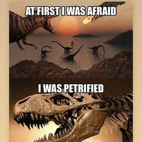 Anti Humor, Jurassic Park Funny, Terrible Memes, Song Memes, Crush Memes, Dinosaur Funny, Jurassic Park World, Bad Jokes, Prehistoric Animals