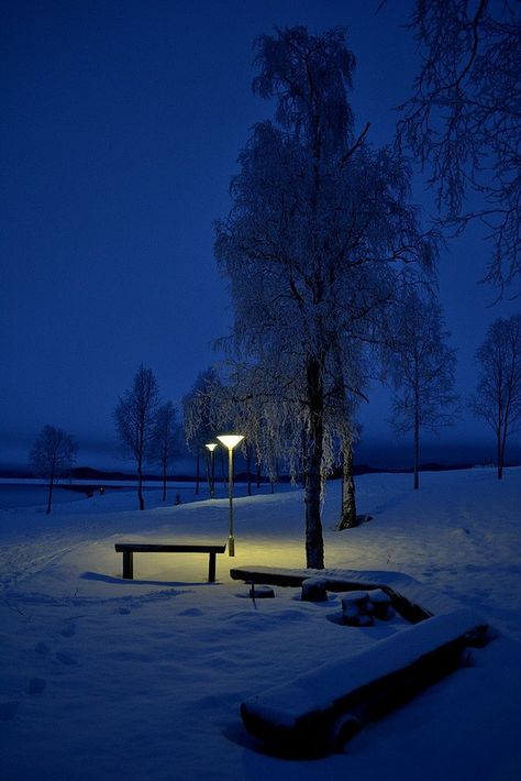 Snowy Night Snow Night, Night Scenery, Dark Winter, Winter Magic, Autumn Scenery, Winter Scenery, Blue Hour, Winter Night, Dark Photography