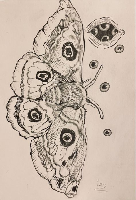 Bugs To Draw, Bugs Sketch, Tattoo Portfolio Ideas, Moth Sketch, How To Draw Insects, Sketch Things, Bug Drawing, Positivity Tattoo, Insect Drawing