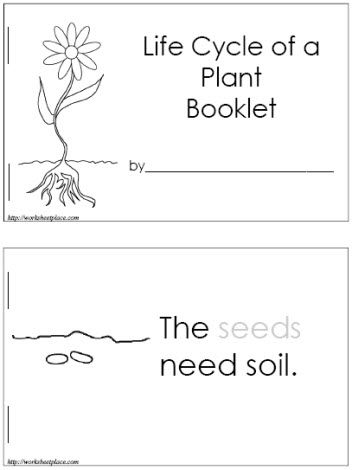 Plants Kindergarten, Plant Lessons, Plants Worksheets, Plants Unit, 1st Grade Science, First Grade Science, Plant Life Cycle, Kindergarten Lesson Plans, Spring Preschool