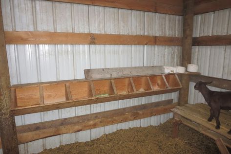 Mineral Feeders For Goats, Cattle Mineral Feeder, Goat Mineral Buffet, Goat Mineral Feeder, Homestead Management, Goat Feeder, Goat Playground, Rabbit Dishes, Goat Barn