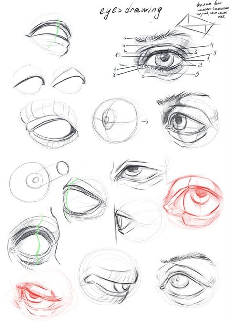 Draw Eyes Reference, Anatomy Eye Drawing, Anime Eyes Anatomy, 3d Eyes Drawing, Eyes Practice Drawing, Eye Drawing Practice Sheet, Eyes Anatomy Reference, Practice Eyes Drawing, Eyes Drawing Guide