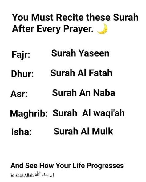 If you recite these surahs after each namaaz(salah), you'll see the progress in you life inshallah! Guidance Quotes, Ramadan Tips, Mekka Islam, Short Islamic Quotes, Pray Quotes, Ramadan Quotes, Hadith Quotes, Islamic Prayer, Muslim Book