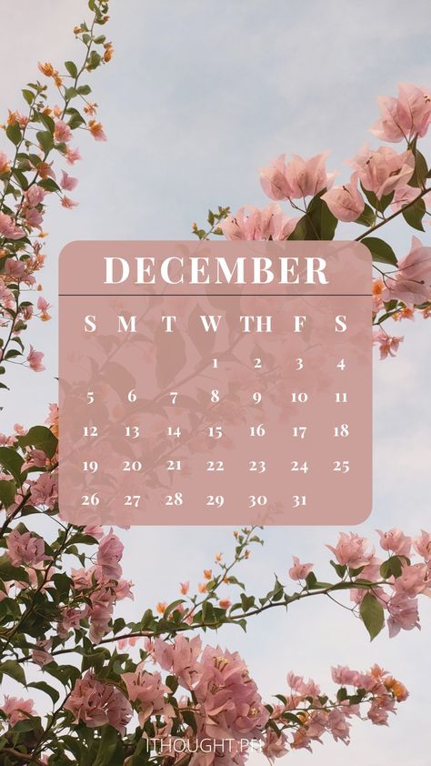 Happy New Month December, December 2021 Calendar, December Wallpaper, Family Clipart, 1st December, 23 December, December Calendar, Happy December, Journal Books