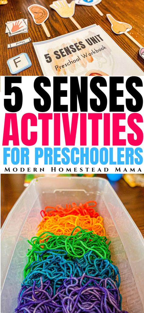 Five Senses Activities For Infants, Senses Sensory Bin, 5 Senses Crafts For Toddlers, Five Senses Crafts For Toddlers, For Preschoolers Activities, 5 Senses Craft, Preschoolers Crafts, Five Senses Activities, 5 Senses Preschool