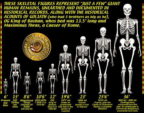 Giant Skeletons Found, Ashtar Command, Nephilim Giants, Giant Skeleton, Allison Mack, Genesis 6, Before The Flood, 3 Brothers, Crop Circle