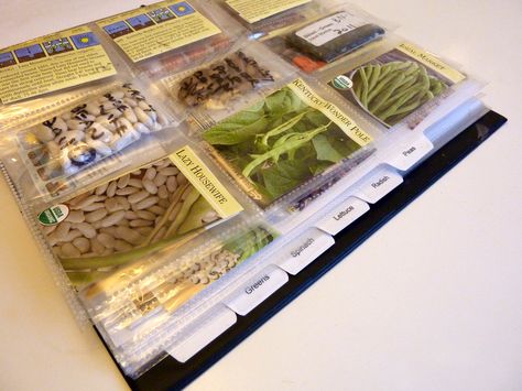 Seed Binders - an easy, inexpensive way to organize and store seeds using 3 ring binders, baseball card sheet protectors, and small zip lock bags. Seed Organization, Dishes Design, Seed Storage, Garden Organization, Sheet Protectors, Ring Binders, Seed Bank, Seed Saving, Garden Journal