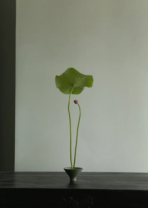 Arreglos Ikebana, Japanese Plants, Ikebana Vase, Arrangement Flower, Ikebana Flower, Ikebana Flower Arrangement, Ikebana Arrangements, Flower Arrangements Simple, Nothing But Flowers