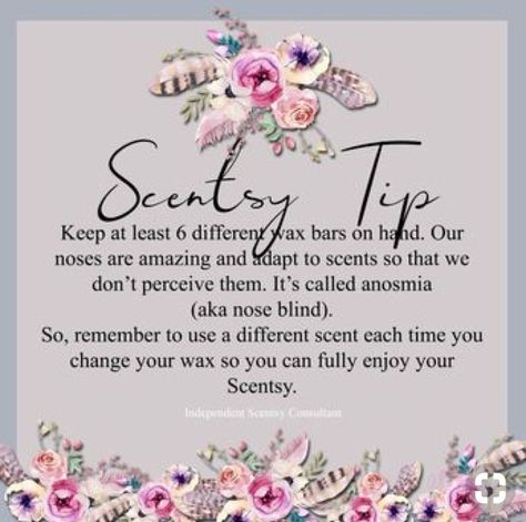 Tuesday Scentsy, Scentsy Quotes, Scentsy Launch Party, Scentsy Consultant Marketing, Scentsy Hacks, Scentsy Mixers, Scentsy Australia, Scentsy Posts, Scentsy Order