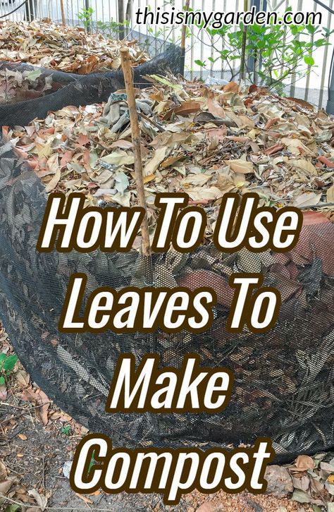 How To Compost Leaves, Leaf Compost Bin, Making Compost For Garden, How To Make Compost For Garden, Composting Leaves, Compost Area, Composting For Beginners, Leaf Compost, Making Compost