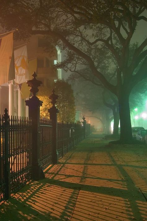 New Orleans, Garden District Nola French Quarter, Vampire Wedding, Foggy Night, Project Red, Foggy Day, Book Board, New Orleans Travel, Garden District, Foto Art