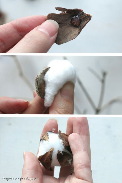 DIY Farmhouse Cotton Stems for $2 | Fixer Upper Style DIY | Cotton Boll Stems | Make Your Own Cotton Bolls | How To Make Cotton Stems | Cottons Stems made with cotton balls, twigs and pinecones | Farmhouse Home Decor | How to decorate for winter | Cotton stems are perfect decorations for winter | Changing your home from Christmas to winter Diy Farmhouse Decoration, Farmhouse Fixer, Cotton Bolls, Cotton Branches, Cotton Decor, Farmhouse Crafts, Cotton Boll, Cotton Stems, Dekor Diy