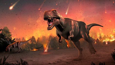 Dinosaur extinction: 'Asteroid strike was real culprit' Hujan Meteor, Dinosaurs Extinction, Tata Surya, Dinosaur Facts, Earth Images, Film Disney, Perfect Storm, Dinosaur Art, Space Rock