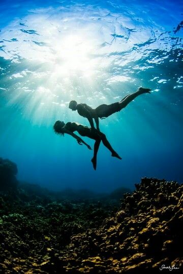 ♡ Underwater Photoshoot, Sarah James, Sarah Lee, Save The Date Photos, Underwater Photos, Water Photography, Swim Lessons, Underwater Photography, In The Ocean