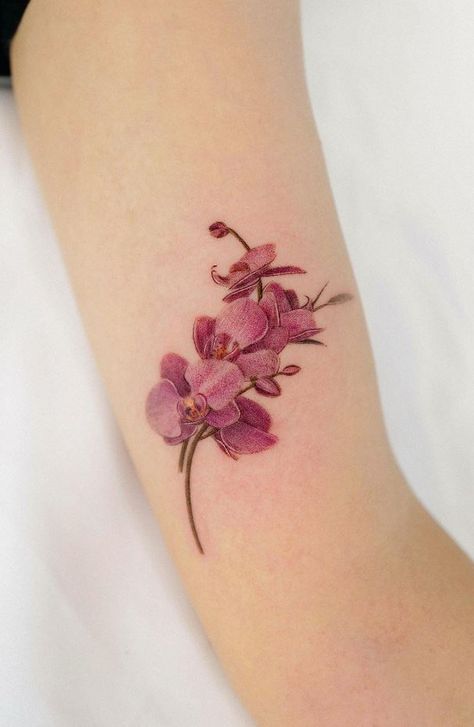 Best Flower Tattoos, Orchid Flower Tattoos, Pair Tattoos, Like Tattoos, Lily Flower Tattoos, Orchid Tattoo, Star Tattoo Designs, Flash Tattoo Designs, Stylist Tattoos