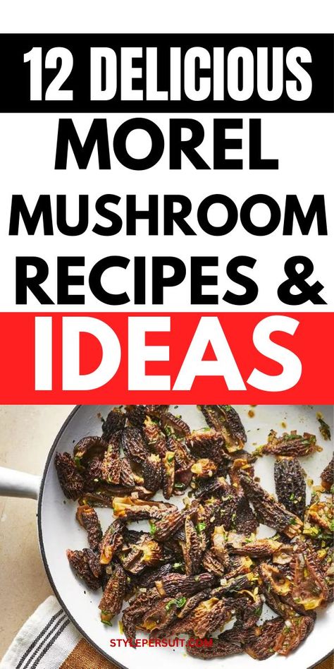 Morel mushrooms, with their distinctive honeycomb appearance and earthy flavor, are a prized ingredient among chefs and home cooks alike. Their unique taste makes them a versatile component in a variety of dishes. Here are ten delicious recipes that highlight the delightful qualities of morel mushrooms: Morel Recipes, Morel Mushroom Recipes, Morel Mushrooms, Creamy Mushroom Soup, Morel Mushroom, Copykat Recipes, Mushroom Risotto, Gourmet Cooking, Taste Made