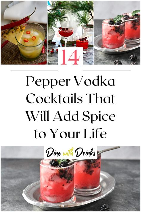 Collage of 4 pepper vodka cocktails. Spicy Vodka Drinks, Cayenne Pepper Drink, Pepper Cocktail, Vodka Mixed Drinks, Vodka Cocktails Easy, Vodka Recipes Drinks, Unique Cocktail Recipes, Spicy Drinks, Vodka Cocktail