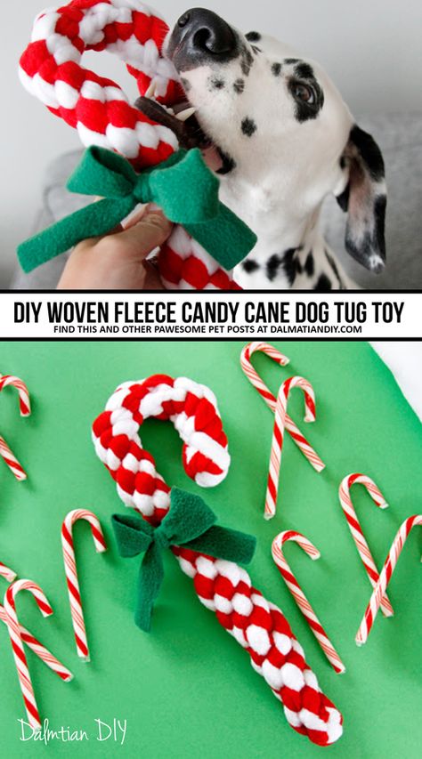 This DIY candy cane tug dog toy turns a homemade woven fleece spiral tug toy into a classic candy cane by concealing the starting/finishing ends and using a sneaky hidden extra to create a classic candy cane curve. Here's how to make your own! Dog Tug Toy, Homemade Dog Toys, Christmas Dog Toy, Diy Christmas Candy, Diy Pet Toys, Diy Dog Toys, Dog Clothes Diy, Dog Crafts, Dog Items