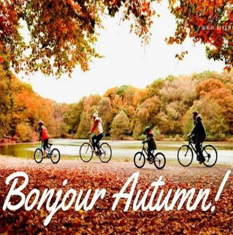 Happy #Autumn ! Yes it may still feel like summer here in #France ... but #Automne officially started yesterday!  Autumn is a perfect time for #cycling - so jump on a @BikeHireDirectFrance #bike and start crunching leaves with your wheels!     #GoodbyeSummer #Charente #CharenteMaritime #Dordogne #Gironde #HauteVienne #Var #Vendee #Vienne86 #bikehiredirect #velo #DispoVelo #NouvelleAquitaine #PaysdelaLoire #ProvenceAlpesCotedAzur Oregon College, Happy Autumn, William & Mary, Vanderbilt University, Bike Pic, William And Mary, Williamsburg Va, Bike Pics, Dream School