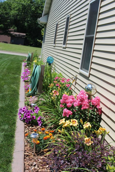 Wild Flowers Around House, Flowers Around House Ideas, Side Of House Flowers, Flower Bed Ideas Side Of House, Flower Beds In Front Of Mobile Home, Flower Garden Around House, Wild Flowers Front Yard, Side Of House Flower Bed, Mobile Home Flower Beds