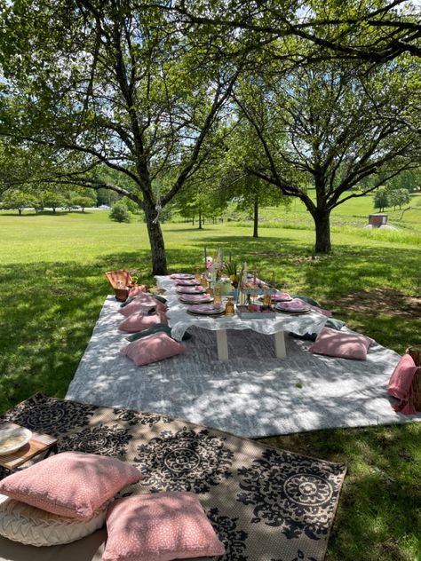 20th Birthday Ideas Outdoor, Outdoor 20th Birthday Party, Birthday Party At Park Decor, Sweet 16 Park Party Ideas, Sweet 16 Picnic Aesthetic, Sweet 16 Picknick, 16 Birthday Party Ideas Picnic, Cute Birthday Picnic Ideas, Outside Birthday Picnic