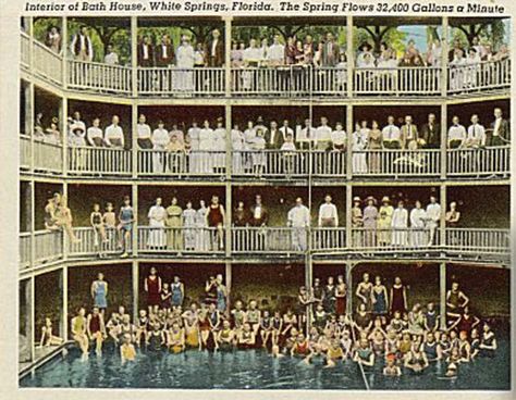 Read this article about Florida's first tourist attraction, and how Disney stole its marketing ideas Florida Springs, Springs Florida, Sulphur Springs, Water Drawing, Spring Resort, Postcard Collection, Old Florida, Vintage Florida, Bath House