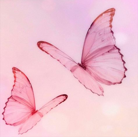 Image uploaded by lolita. Find images and videos about pink, soft and butterfly on We Heart It - the app to get lost in what you love. Princess And The Pauper, Baby Pink Aesthetic, Luna Lovegood, Barbie Princess, 문신 디자인, Barbie Movies, Pink Butterfly, Photo Profil, Pink Aesthetic