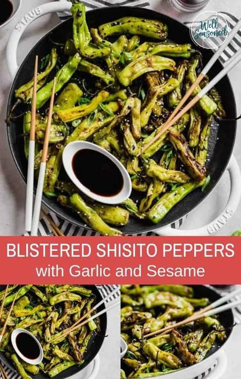 Asian Shishito Peppers, Shito Pepper Recipe, Blistered Shishito Peppers Recipe, How To Cook Shishito Peppers, Sauteed Shishito Peppers, Shishido Peppers Recipe, Shishito Peppers Recipe, Roasted Shishito Peppers, Shishito Pepper Recipe