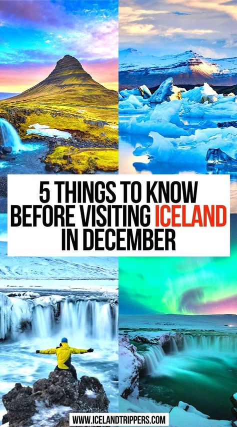 5 Things To Know Before Visiting Iceland in December Iceland In December, Iceland In November, November Weather, Winter Driving Tips, Visiting Iceland, December Travel, Iceland Food, Iceland Vacation, Iceland Winter