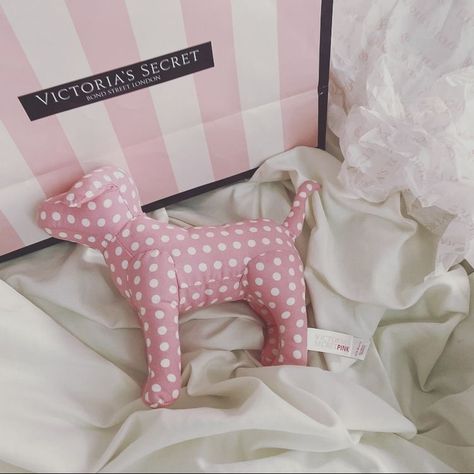 Rosy Blog Aesthetic, 2014 Winter Aesthetic, 2014 Aesthetic Pink, 2014 Tumblr Aesthetic Pink, Vs Pink Aesthetic, Rosy Blog, Victoria Secret 2014, 2014 Aesthetic, Victoria's Secret Aesthetic