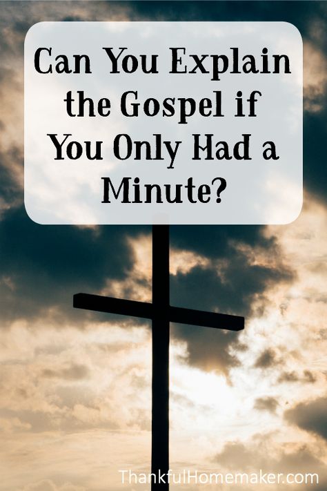 Share The Gospel, Bible Study Help, Bible Study Tips, Gospel Message, Bible Study Lessons, Bible Love, Bible Devotions, Bible Facts, Bible Teachings