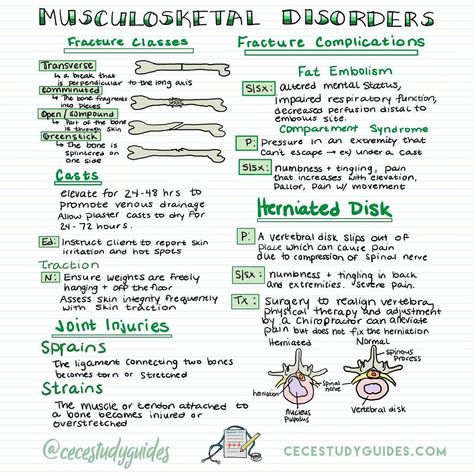 Chelsea | Nursing Education on Instagram: “Do you know the different types of fractures? 🦴 What not to do with traction devices? Believe it or not I had a ton of ortho questions on…” Fractures Nursing, Fracture Types, Musculoskeletal Nursing, Ortho Nurse, Bsn Nursing, Types Of Fractures, Nurse Specialties, Memory Notebook, Nurse Notes