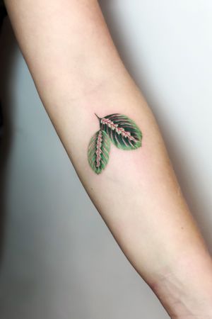 Botanical Tattoo Design, Tiny Bird Tattoos, Full Leg Tattoos, Plant Tattoo, Tattoo Clothing, Botanical Tattoo, Book Tattoo, Designer Art, Feminine Tattoos