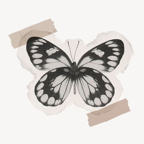 Black butterfly collage element, washi tape design vector | premium image by rawpixel.com / Nunny Digital Washi Tape Png, Black Scrapbook, Easy Journal, Butterfly Collage, Black Collage, Vintage Paper Printable, About Butterfly, Butterfly Aesthetic, Kindle Stickers