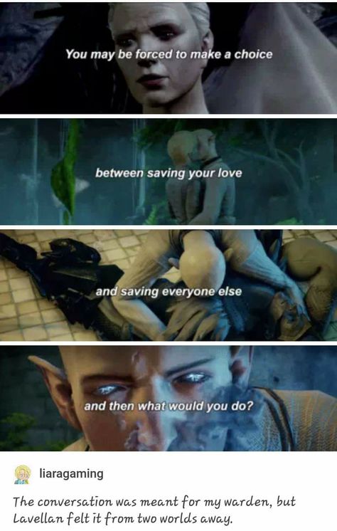 Solas X Lavellan Romance, Solas Romance, Dragon Age 4, Dragon Age Solas, Da Inquisition, Dread Wolf, Solas Dragon Age, Dragon Age Memes, Dragon Age Funny