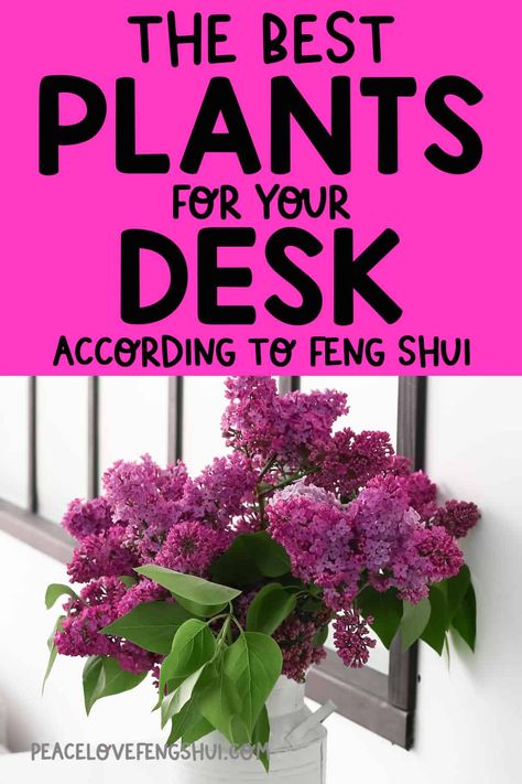 Feng Shui Bedroom Plants, Feng Shui Office Decor, Money Plant Decoration Indoor, Feng Shui Office Layout With Window, Feng Shui Cubicle, Calm Office Space Ideas, Feng Shui Study Room, Feng Shui Work Desk, Feng Shui Desk Placement