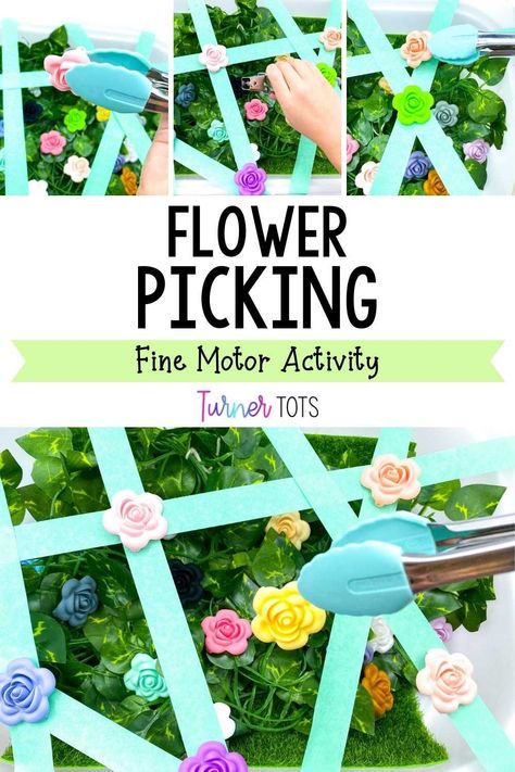 Plants And Flower Activities For Preschool, May Flowers Activities For Toddlers, May Day Activities For Toddlers, Gardening Day Activities, Imagination Lesson Plan For Preschool, Flower Science For Toddlers, Flower Sensory Bin For Toddlers, Plants Fine Motor Activities, Seeds Lesson Plans Preschool