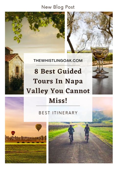 8 Best Guided Tours In Napa Valley You Cannot Miss! | A Napa Guide Vineyard Tour, Napa Valley Wineries, Napa Valley Wine, Winery Tours, Wine Enthusiast, Wine Lover, Bike Tour, Rolling Hills, Travel Tours